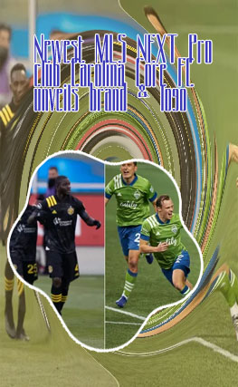 Mls finals